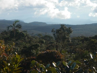 Reserva Biológica El Quimi - Foto: El Universo