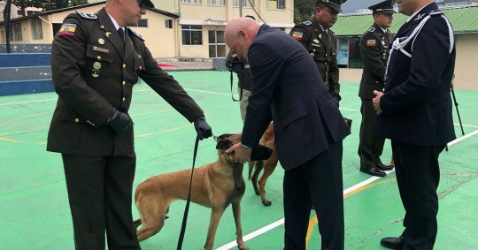Los canes serán para el Centro Regional de Adiestramiento Canino (CRAC) de la Policía Nacional/ Foto: Cortesia Ministerio del Interior