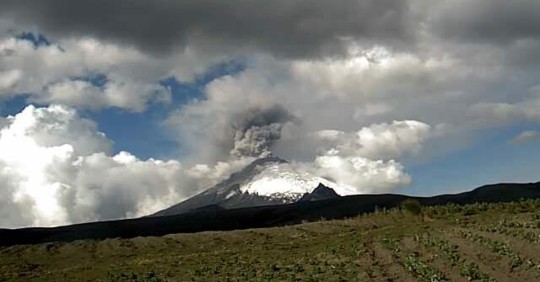 Noticias del Ecuador Medios Nacionales - 4 de Febrero de 2023 / Foto: Twitter