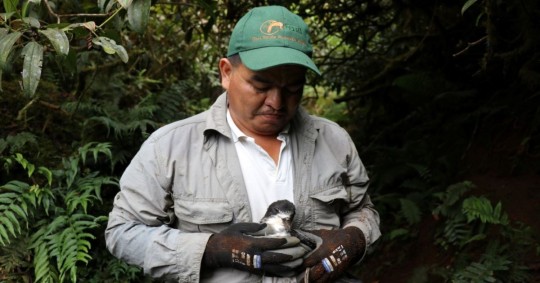 Ecuador descarta un caso sospechoso de gripe aviar en Galápagos / Foto: cortesía Parque Nacional Galápagos