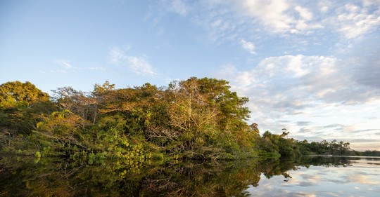 Su propuesta es que se "retiren inmediatamente del bloque ITT del Yasuní como un acto de responsabilidad climática global y respeto hacia los pueblos en aislamiento voluntario" / Foto: EFE
