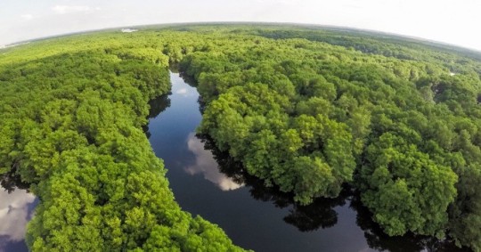 El Gobierno prepara un marco legal para realizar este tipo de transacciones con más facilidad/ Foto: cortesía Ministerio de Ambiente