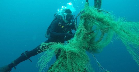 Más de 85 kg de desechos fueron recolectados durante limpieza submarina en Manabí / Foto: cortesía Ministerio de Ambiente