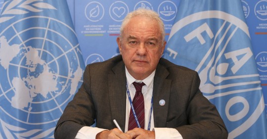 El 13 % de los alimentos del mundo se pierde en la cadena de suministro y otro 17 % se desperdicia en los hogares, servicios de alimentos y el comercio minorista/ Foto: cortesía FAO