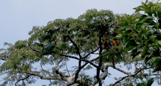 Cuáles son 5 destinos que no puede dejar de visitar en Sucumbíos / Foto: El Oriente