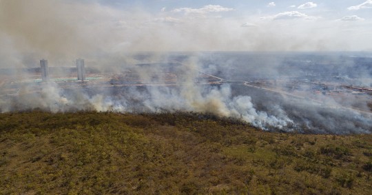De acuerdo con los datos del sistema de alertas de deforestación del Inpe, el mes pasado fueron devastados 322 kilómetros cuadrados de vegetación nativa / Foto: EFE