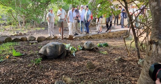 El primer trimestre de 2023 se registró más turistas que en el mismo período en los últimos 4 años/ Foto: Cortesía Ministerio de Ambiente