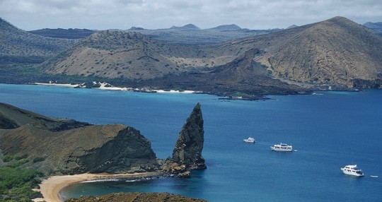 El objetivo es documentar los problemas que enfrenta el ecosistema del archipiélago ecuatoriano / Foto: EFE