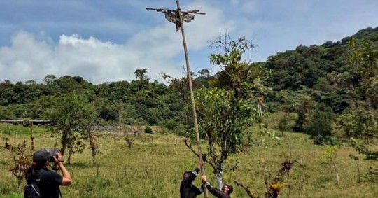 Deberá completar un curso de 120 horas respecto a conservación, entregar $ 3.000 para financiar el monitoreo de aves y pagar 4 salarios básicos como multa / Foto: cortesía Fiscalía General
