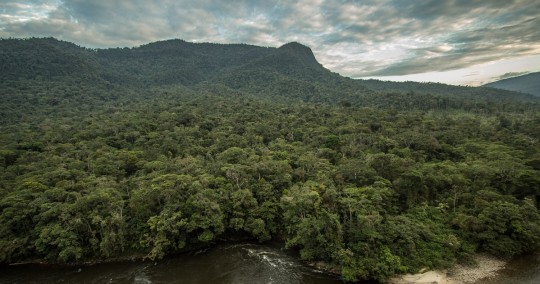 El ingreso a esta reserva, dada la lejanía a centros poblados y la dificultad de acceso, no está permitida a turistas / Foto: cortesía Nature and Culture International