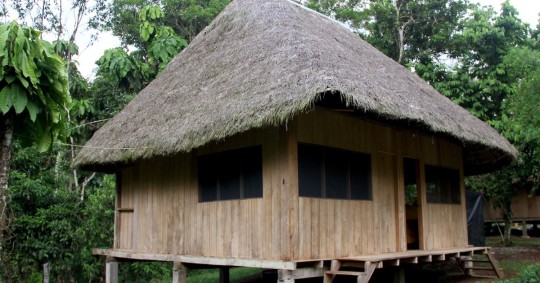 Chonta, toquilla y pambil, son los materiales usados en las casas de los indígenas amazónicos / Foto: El Oriente