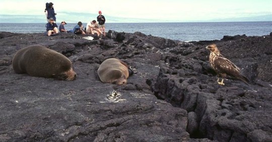 Galápagos recibió en la primera mitad de 2022 casi tantos turistas como todo 2021 / Foto: EFE