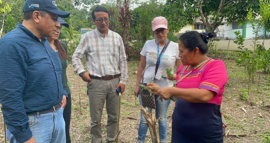 El objetivo es asegurar la disponibilidad de granos y semillas en la cantidad y calidad requerida / Foto: cortesía Ministerio de Agricultura