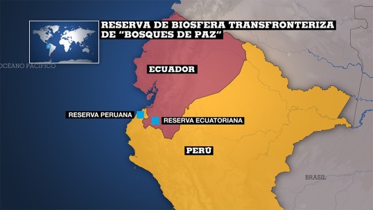 Foto: France24