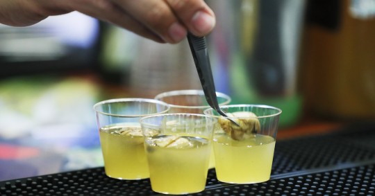 El miske es una bebida alcohólica tradicional de Ecuador elaborada a través de la destilación de la savia del agave / Foto: EFE