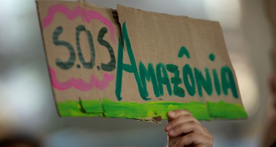 "Las amenazas a la integridad de la Amazonía deben detenerse mediante medidas urgentes para proteger el 80 % de la selva tropical para 2025" / Foto: EFE