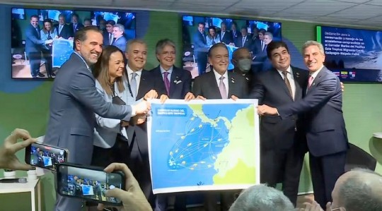 La CAF aprobó un millón de dólares para conservar el Corredor Marino del Pacífico / Foto: cortesía Ministerio de Ambiente
