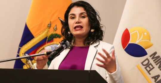 La subsecretaria de Cambio Climático del Ministerio de Ambiente, Karina Barrera, lideró el encuentro / Foto: EFE