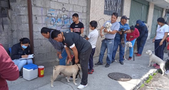 El evento desarrollado el viernes se desarrolló en la plazoleta de las banderas de la ciudad ecuatoriana de Huaquillas, fronteriza con Perú / Foto: cortesía ministerio de Salud