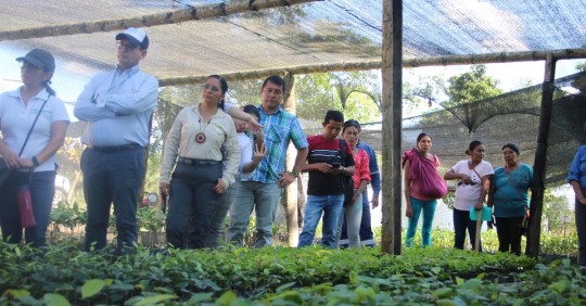 Durante los 32 meses de trabajo se logró la plantación de 46.140 árboles / Foto: cortesía MAATE