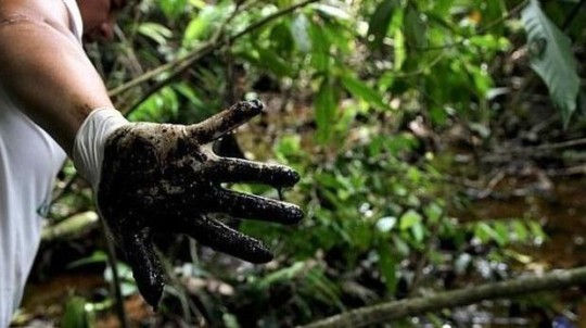 Un informe elaborado por un equipo de científicos norteamericanos determinó que la petrolera Chevron causó contaminación tóxica en Ecuador (Archivo: Difusión)