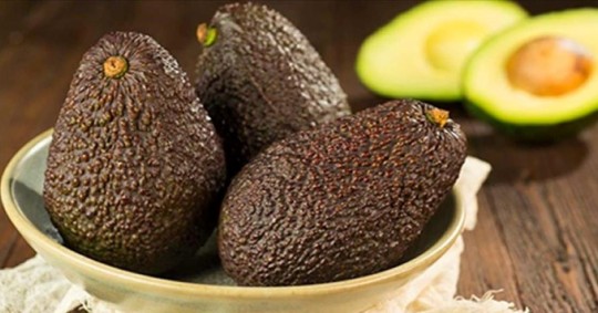 ¿Cuáles son las principales frutas de la región andina ecuatoriana? / Foto: cortesía Corpoaguacate