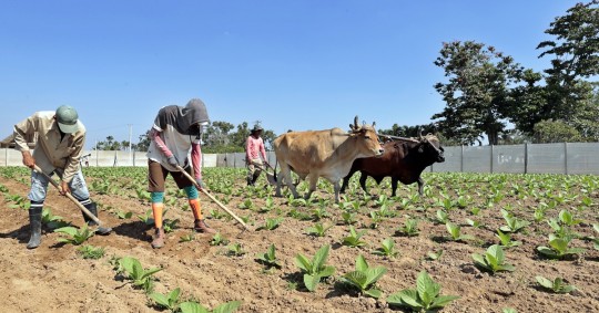 Según el informe del BID, las exportaciones de Suramérica bajaron un 0,3 %, arrastradas por las caídas de Bolivia, Venezuela, Argentina, Ecuador, Perú, Colombia y Uruguay / Foto: cortesía EFE