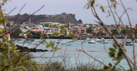 "No se ha emitido ningún tipo de licencia ambiental a favor de la empresa Hogalapagos S.A. para el desarrollo de este proyecto" / Foto: EFE