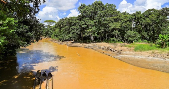 La provincia amazónica de Pastaza está ubicada en la Región Nororiente del Ecuador siendo su capital la ciudad de Puyo / Foto: El Oriente