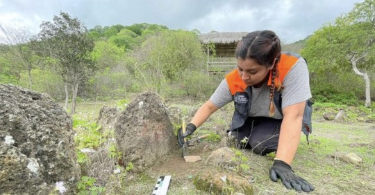 El sitio arqueológico está ubicado en Manabí/ Foto: cortesía Embajada de EE.UU