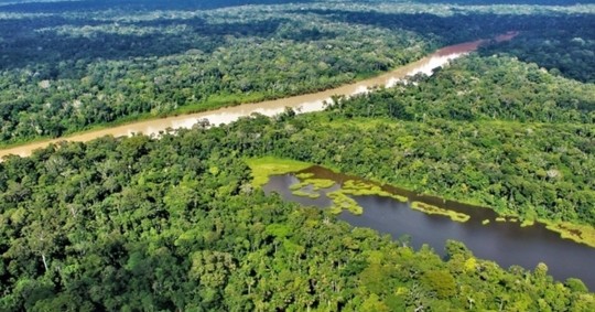 Es la conclusión del estudio publicado por la Red Amazónica de Información Socioambiental (RAISG) / Foto: cortesía