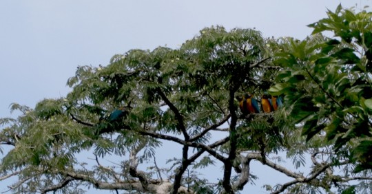 Foto: El Oriente