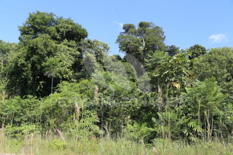Foto: Petroamazonas