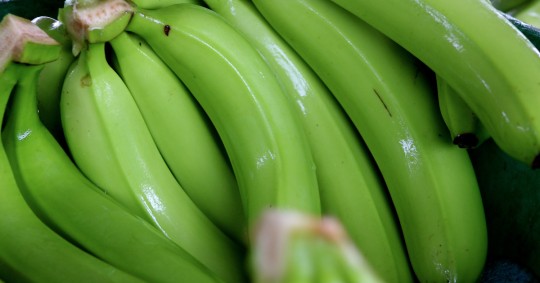 El gobierno presenta plan para el sector bananero, afectado por guerra en Ucrania / Foto: EFE