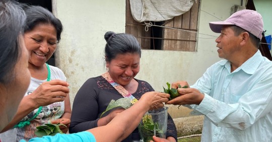  El uso de insumos orgánicos es promovido en Archidona / Foto: cortesía MAG
