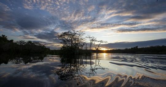 Yasunidos presentó en 2014 más de 800.000 firmas para consultar a los ecuatorianos si están de acuerdo en dejar bajo tierra las reservas de crudo en el llamado eje ITT / Foto: EFE