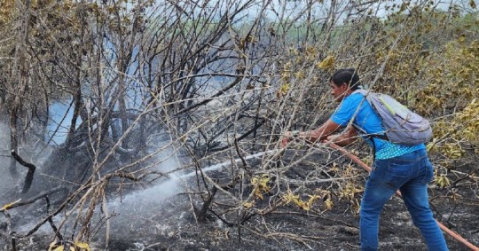 De acuerdo a las autoridades, los restos de una fogata habrían sido los detonantes del flagelo / Foto: cortesía Gobierno de Galápagos