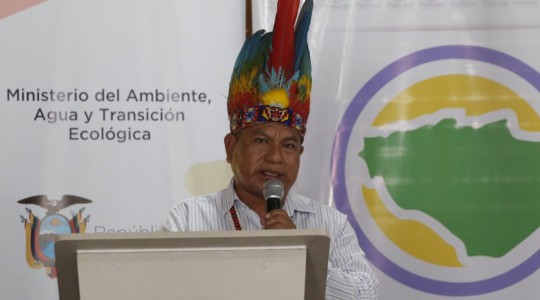 Con la implementación de los procesos de restauración forestal en Arajuno, aproximadamente 250 familias se beneficiarán / Foto: cortesía ministerio de Ambiente 