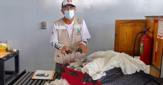 Policía fue condenado a 3 años de prisión por tráfico de tortugas de Galápagos / Foto: Cortesía Ministerio de Ambiente