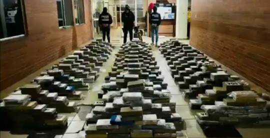 La droga fue encontrada al inspeccionar un tráiler en una comunidad de la provincia de Guayas  / Foto: cortesía Policía Nacional 