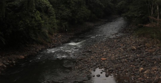Este es un problema que afecta a los ríos del país y especialmente a los de la Amazonía / Foto: El Oriente