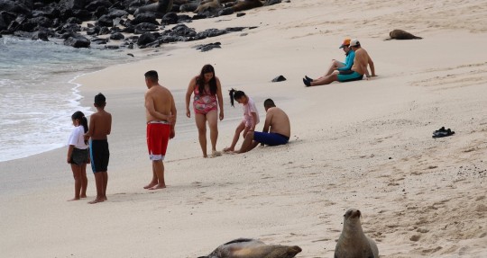 Más de dos millones de personas se movilizaron en el feriado / Foto: EFE