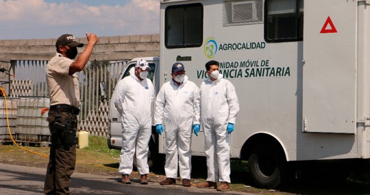 40 técnicos de la Agencia mantienen vigilancia y control permanente en la zona, como dispone la declaratoria de emergencia zoosanitaria / Foto: cortesía Agrocalidad