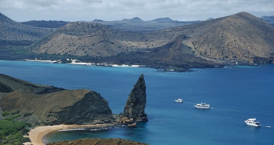 El turismo a Galápagos bajó un 73 % durante 2020 / Foto EFE