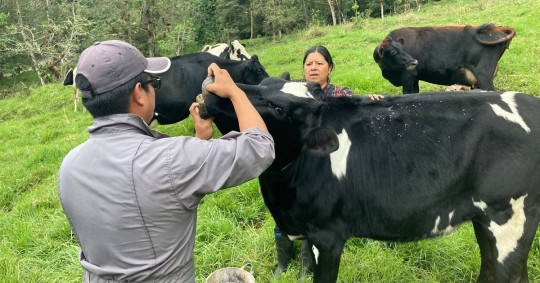 2 unidades móviles veterinarias recorren la provincia/ Foto: cortesía MAG
