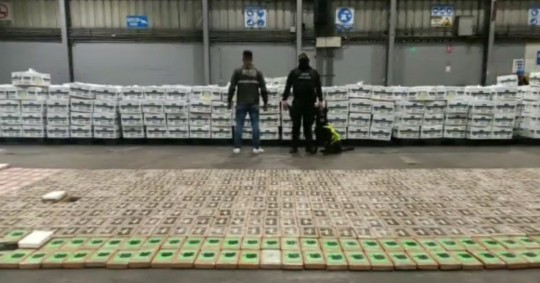 Entre las cajas de fruta apiladas dentro del contenedor se hallaron un total de 720 paquetes rectangulares de cocaína, de aproximadamente un kilo de peso cada uno/ Foto: Cortesía EFE