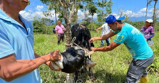 El ministerio de Agricultura y Ganadería lleva a cabo la ‘Escuela de Fortalecimiento Productivo Pecuario’ en el cantón Archidona, provincia de Napo / Foto: cortesía ministerio de Agricultura