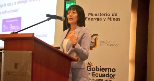 La hoja de ruta para la producción de Hidrógeno Verde en Ecuador avanza / Foto: foto cortesía Ministerio de Energía y Minas