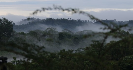 Beneficiará a las 6 provincias de El Oriente/ Foto: El Oriente