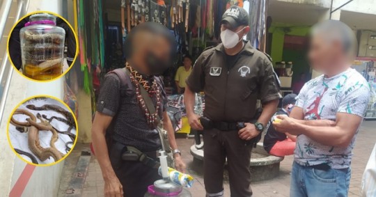 Ciudadano fue sentenciado a un año de prisión por vender brebaje elaborado con serpientes / Foto: cortesía MAATE